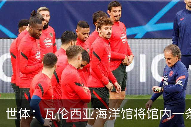 世体：瓦伦西亚海洋馆将馆内一条鲨鱼命名为费兰-托雷斯