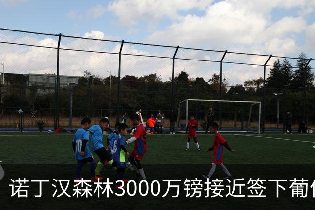 诺丁汉森林3000万镑接近签下葡体铁卫迪奥曼德