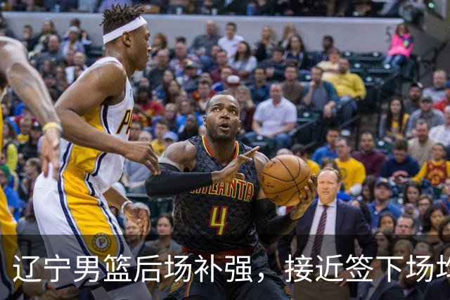 辽宁男篮后场补强，接近签下场均12.7分优质国产后卫，王岚嵚有可能离队！